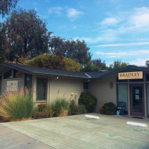 Bradley School of Music